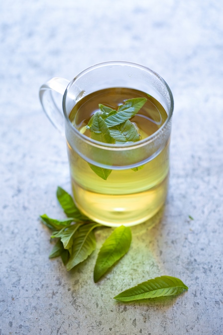 Verveine de l'Herbier de Pouzes