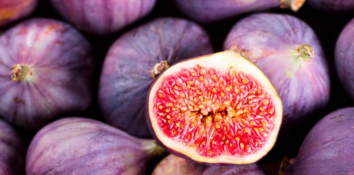 Figue du Roussillon BIO