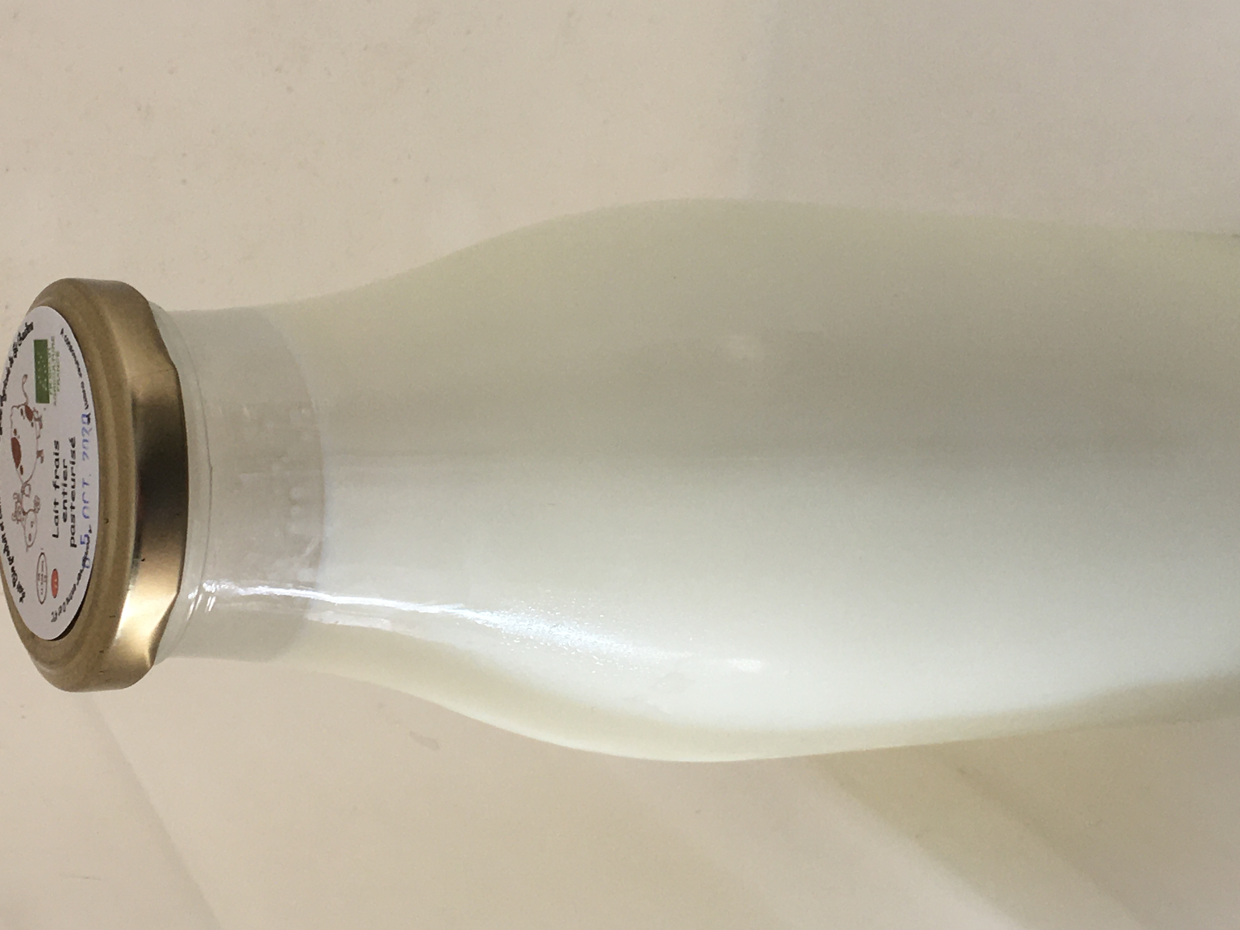 Lait entier pasteurise