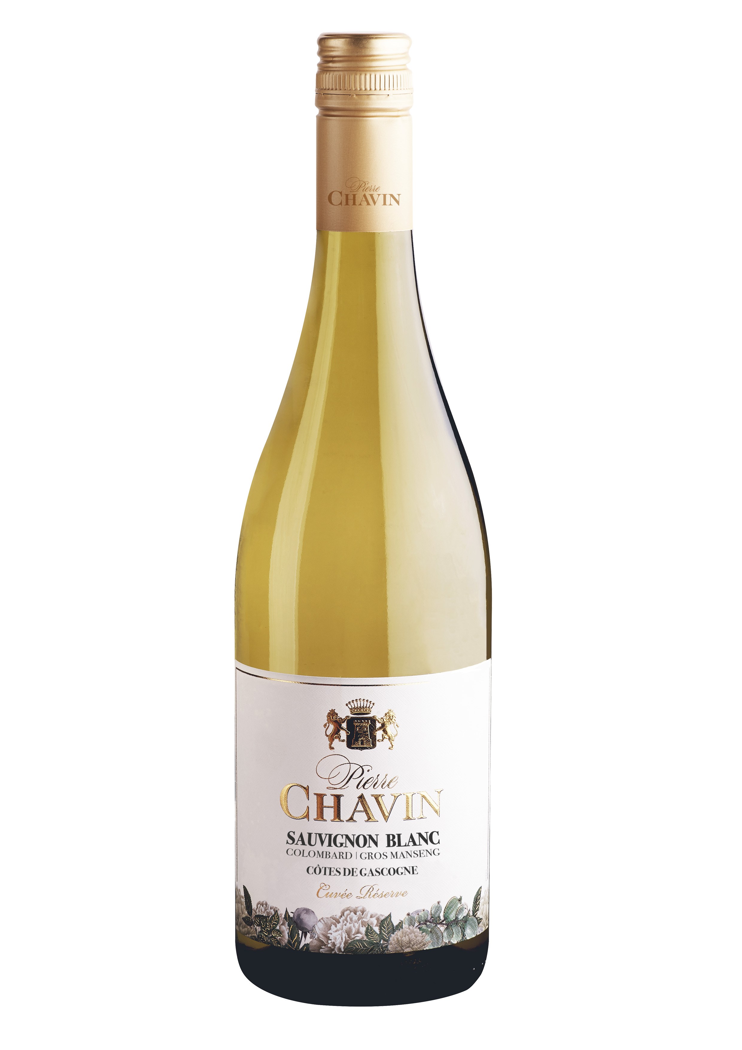 Pierre chavin gascogne