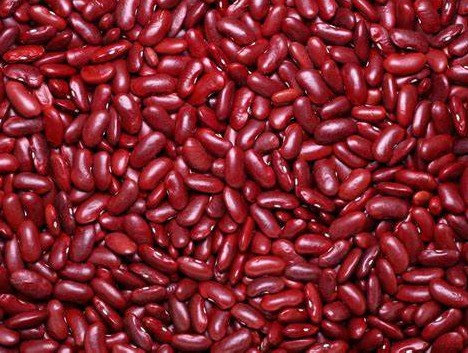 HARICOTS ROUGES D'OCCITANIE