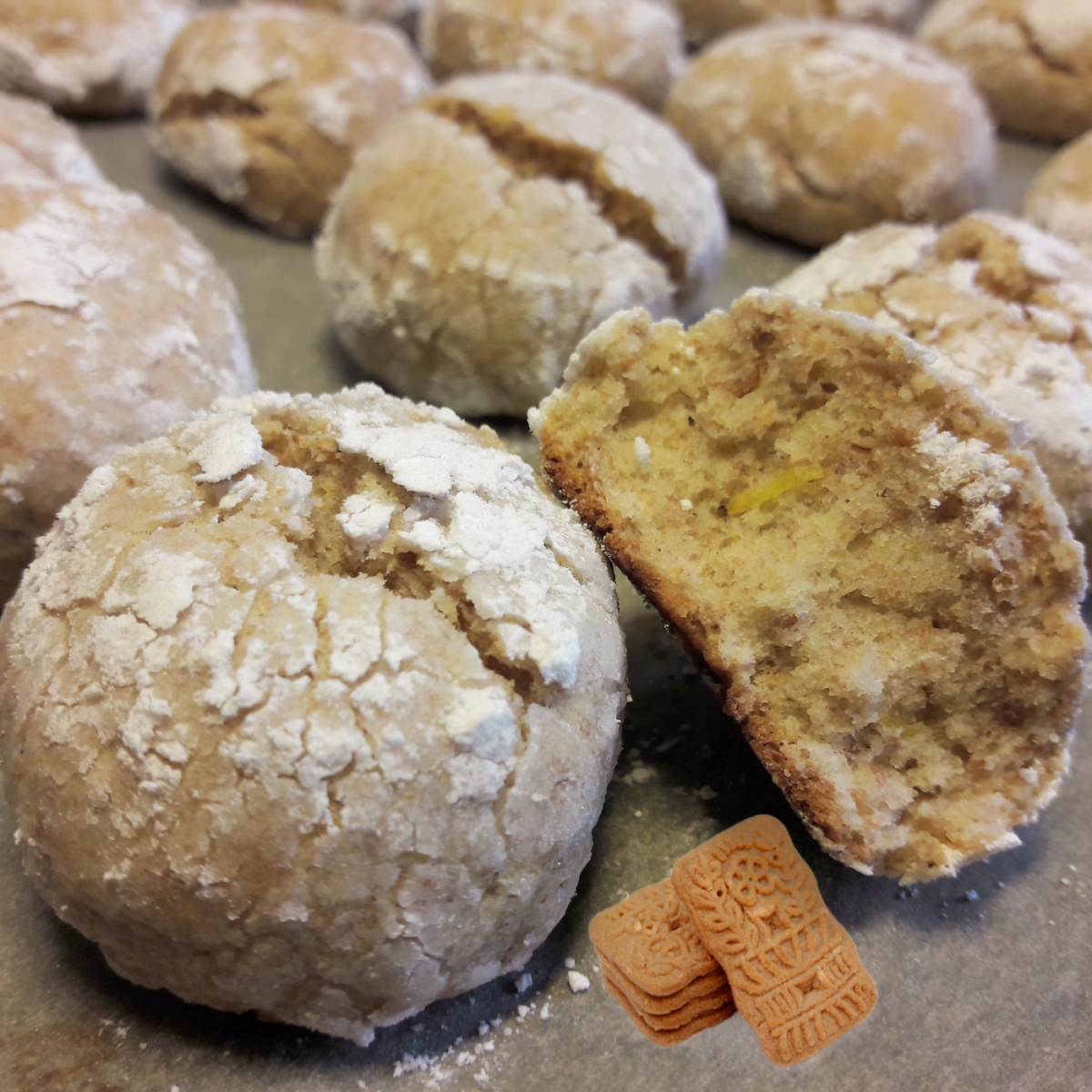 Craquele des Cevennes sans gluten/lactose, speculos