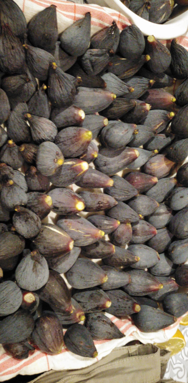 Figue fraiche des Corbieres