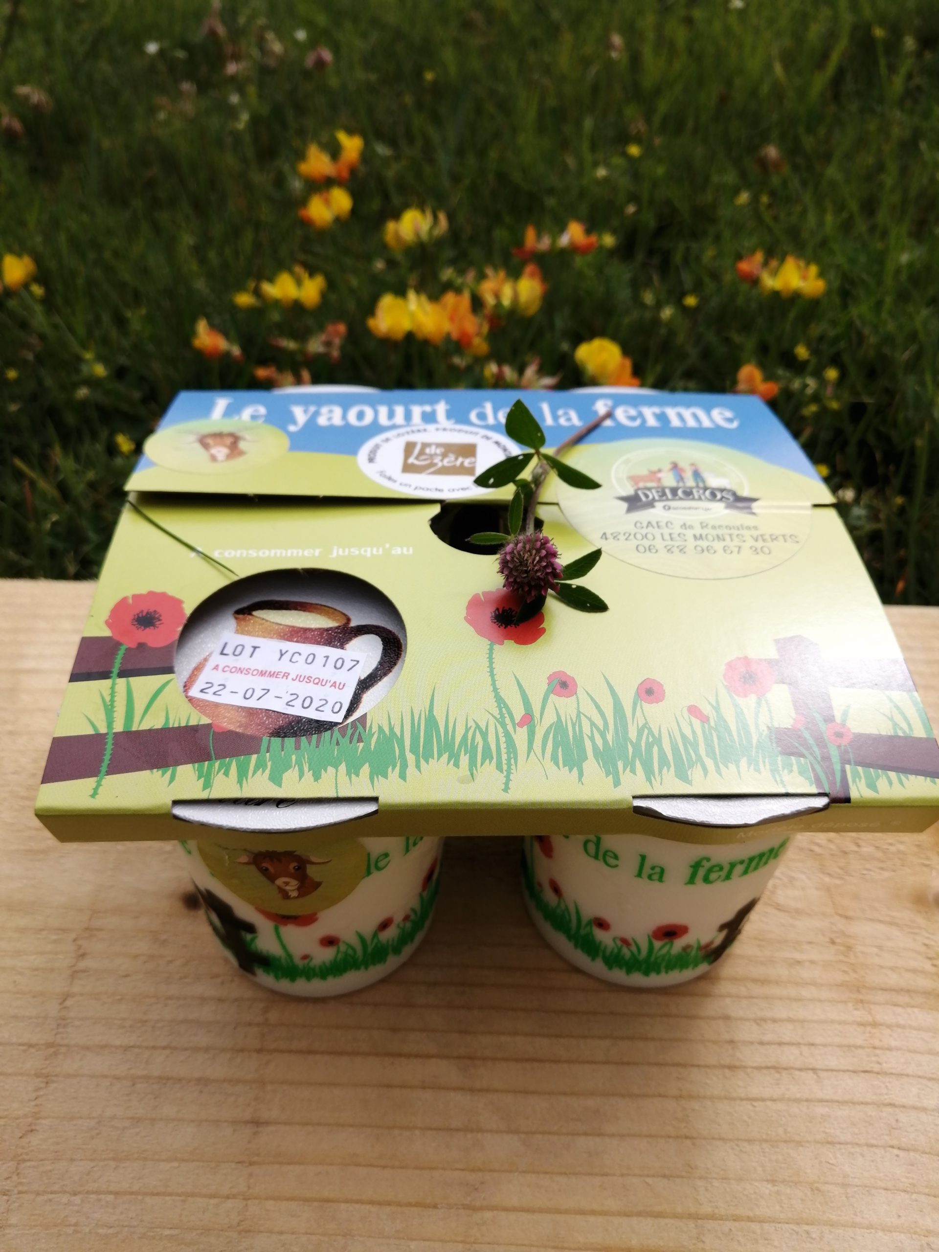 Yaourt de chevre BIO
