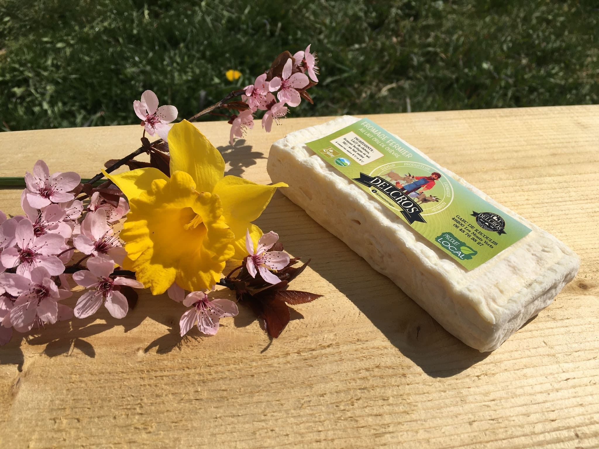 Lactique de chevre BIO