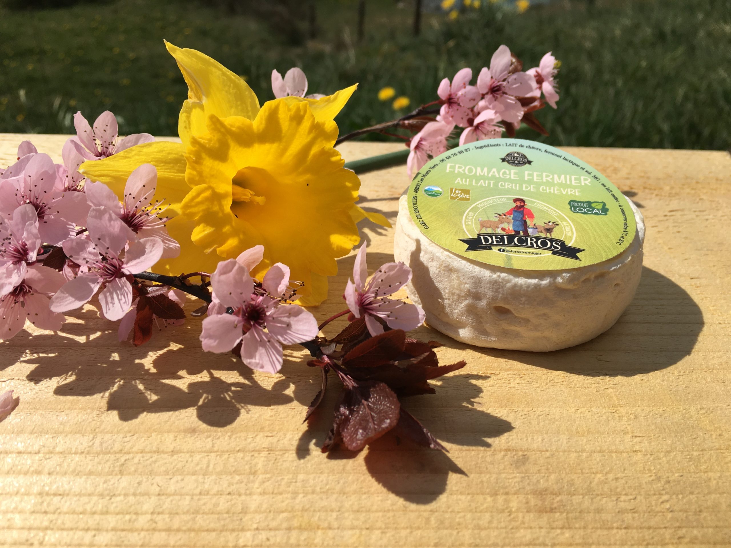 Lactique de chevre BIO