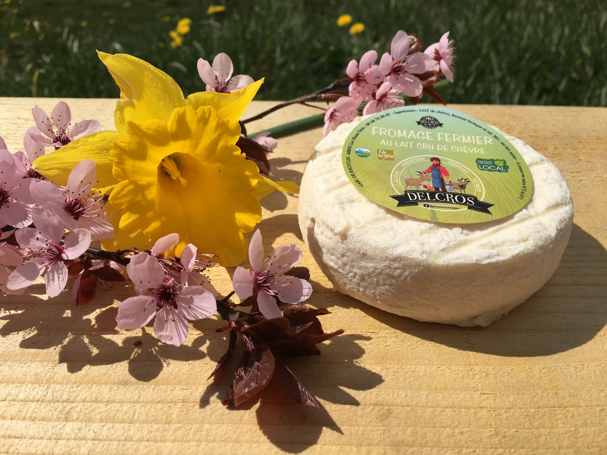 Lactique de chevre BIO