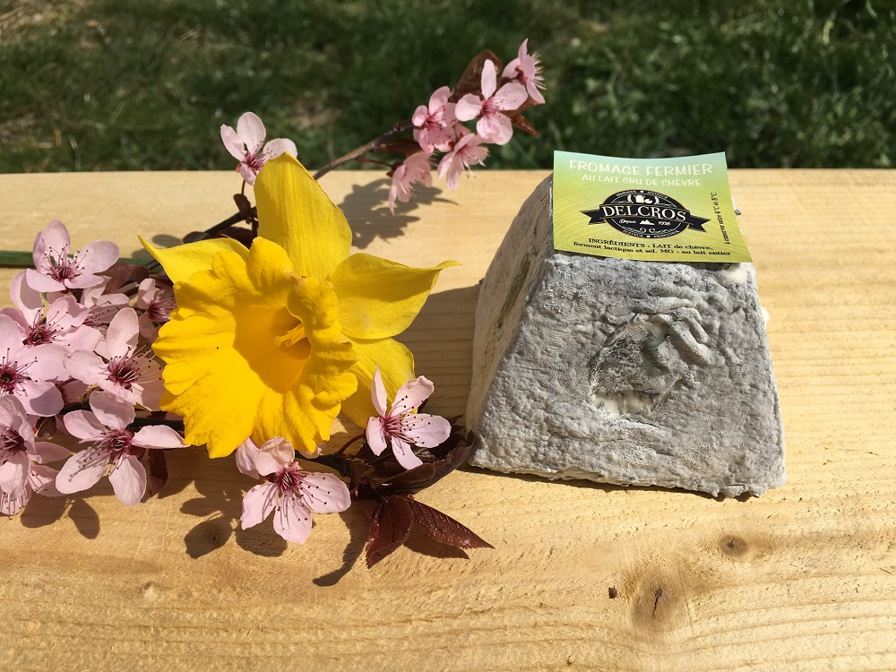 Lactique de chevre BIO