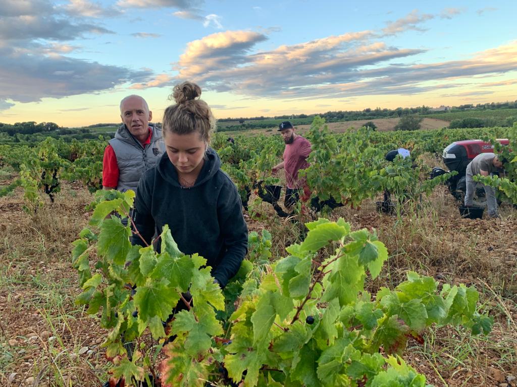 Les 6 vins 100% BIO de la gamme de Nathalie