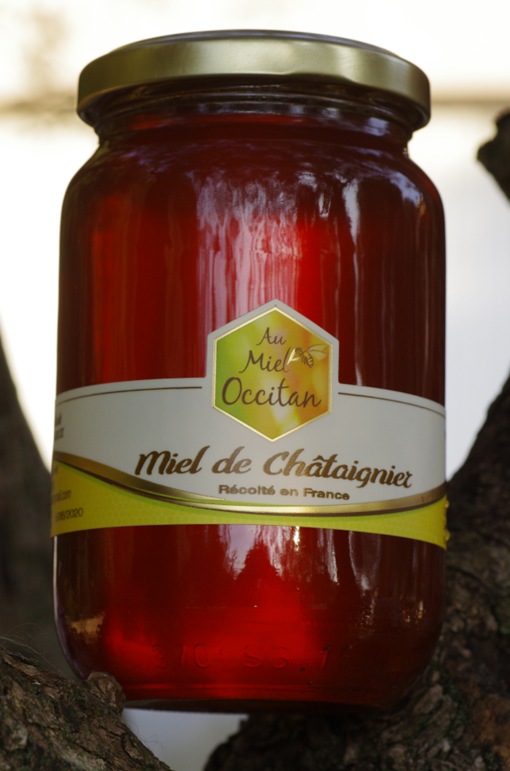 Miel de Chataignier