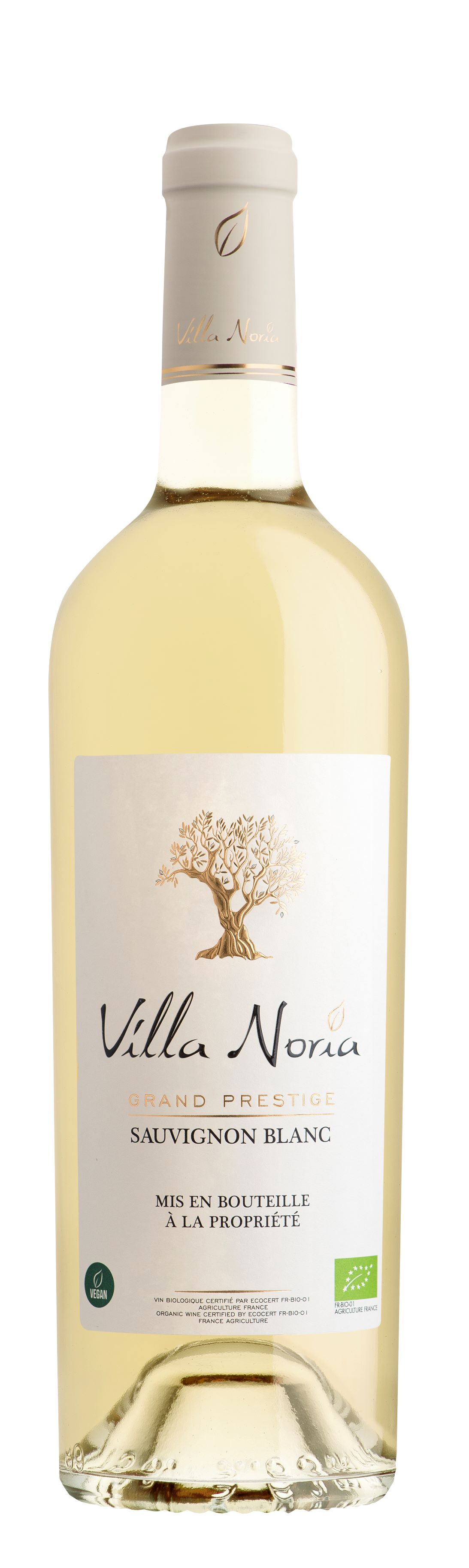 Villa Noria Grand Prestige Sauvignon Blanc