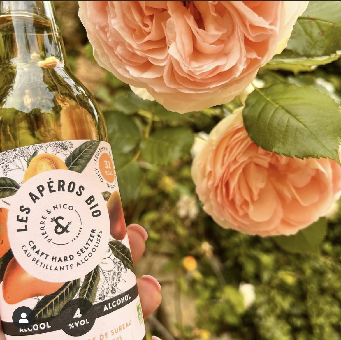 Hard Seltzer BIO - Mangue & Fleurs de sureau