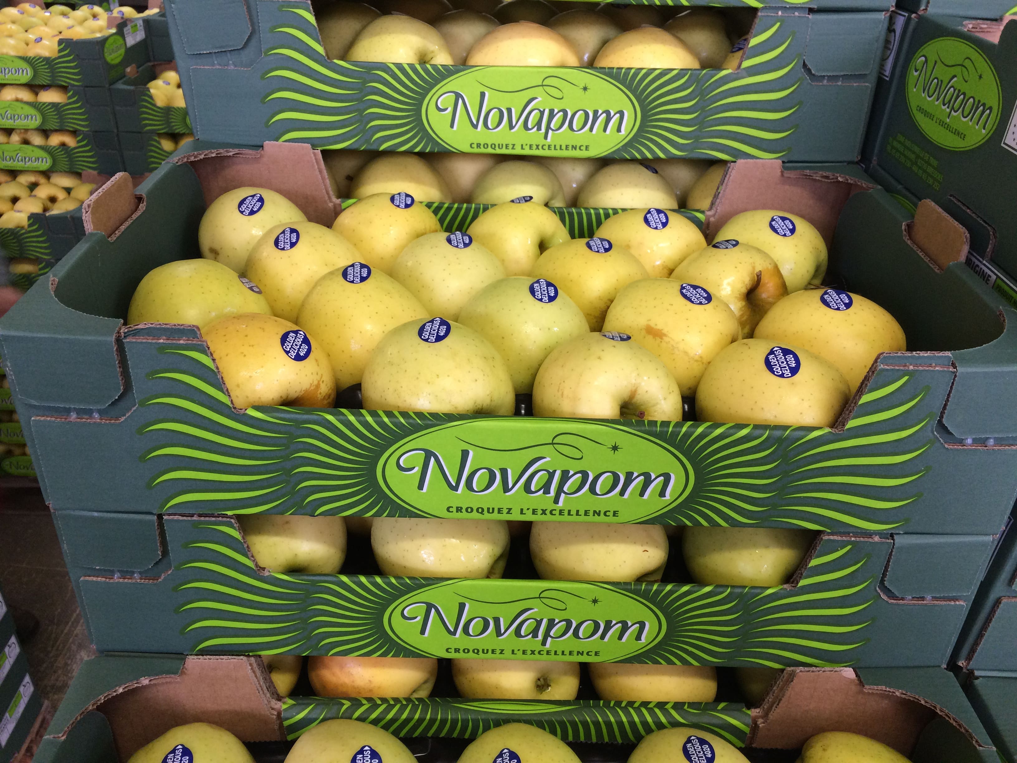 POMMES GOLDEN