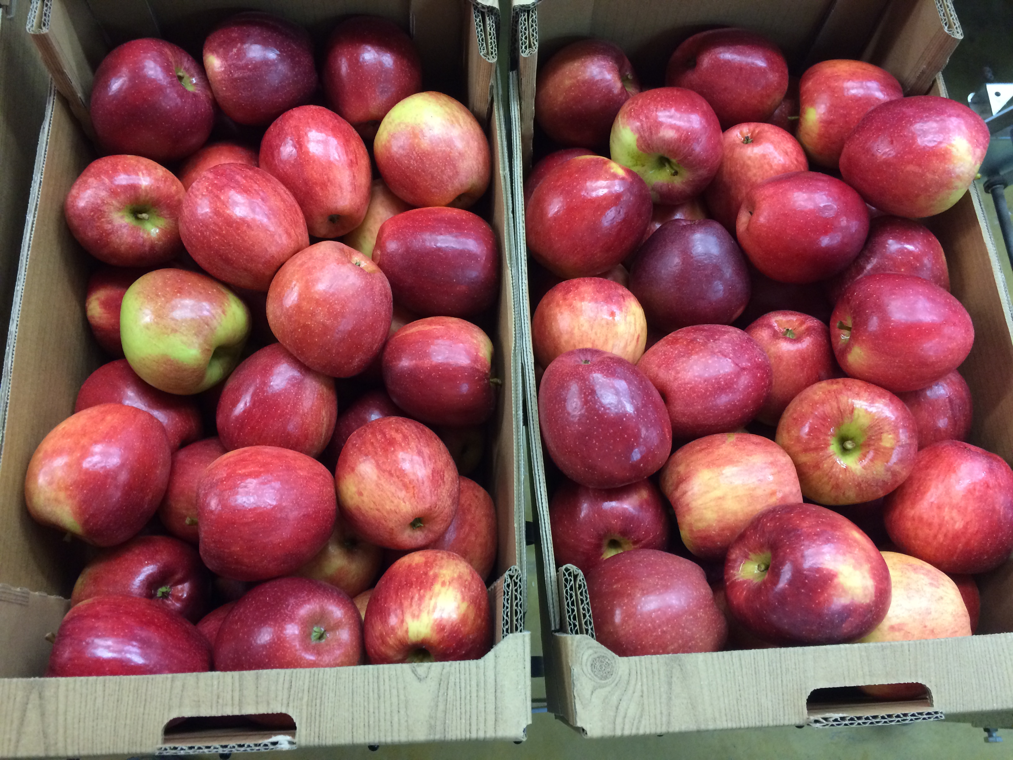 POMMES BRAEBURN