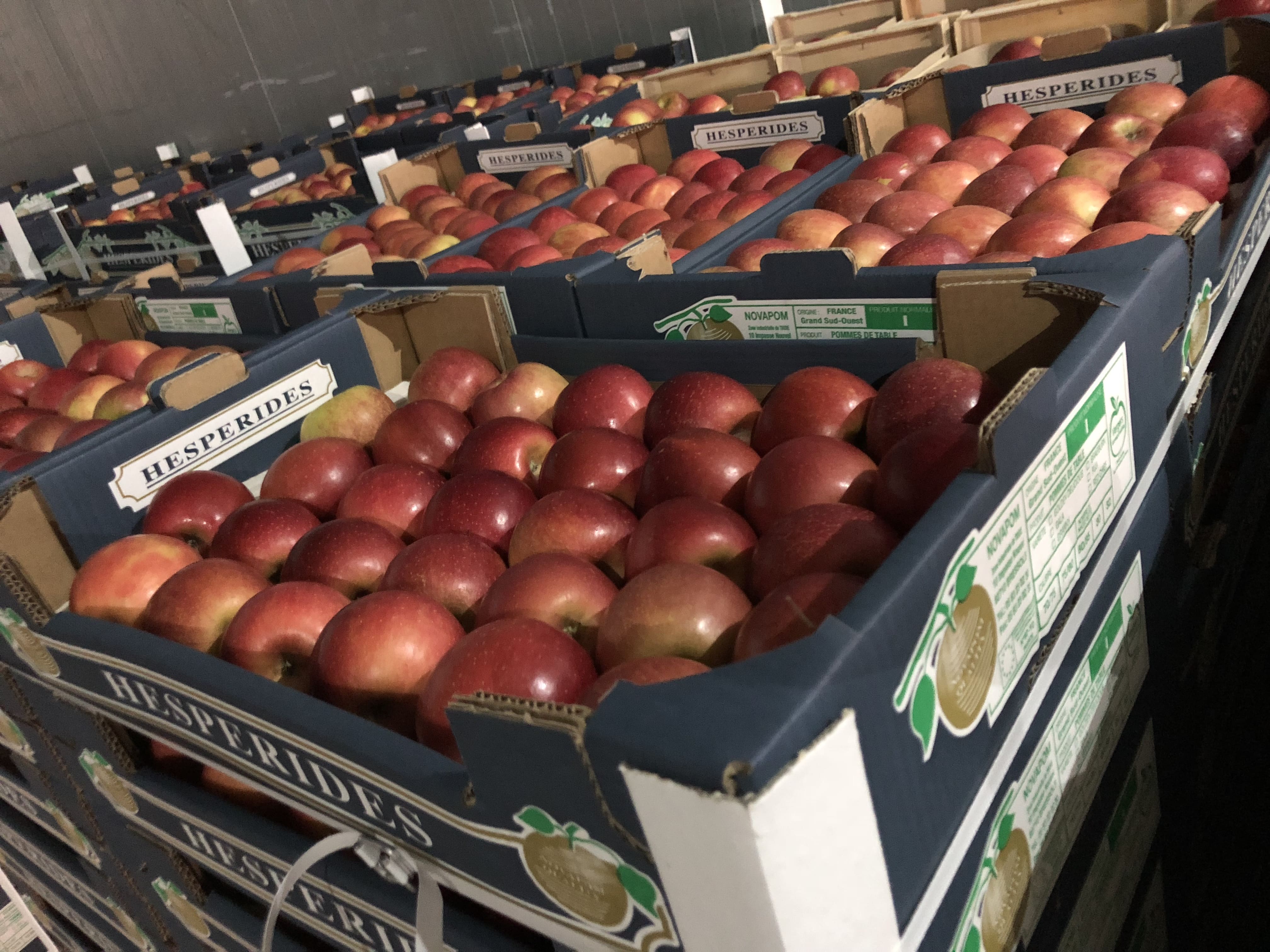 POMMES FUJI