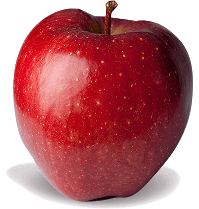 POMMES RED CHIEF