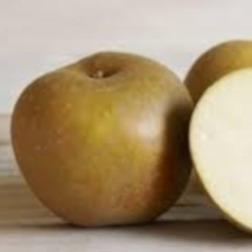 POMMES CANADA GRIS