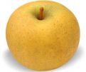 POMMES CHANTECLER