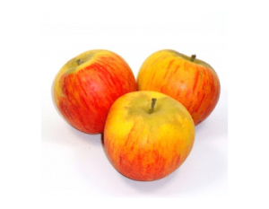 POMMES REINE DES REINETTES
