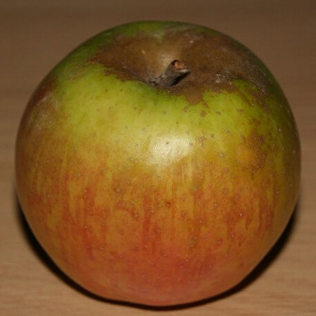 POMMES SAINTE GERMAINE