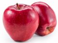 POMMES STORY BIO