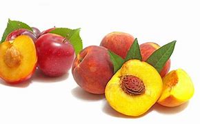 PECHE NECTARINE