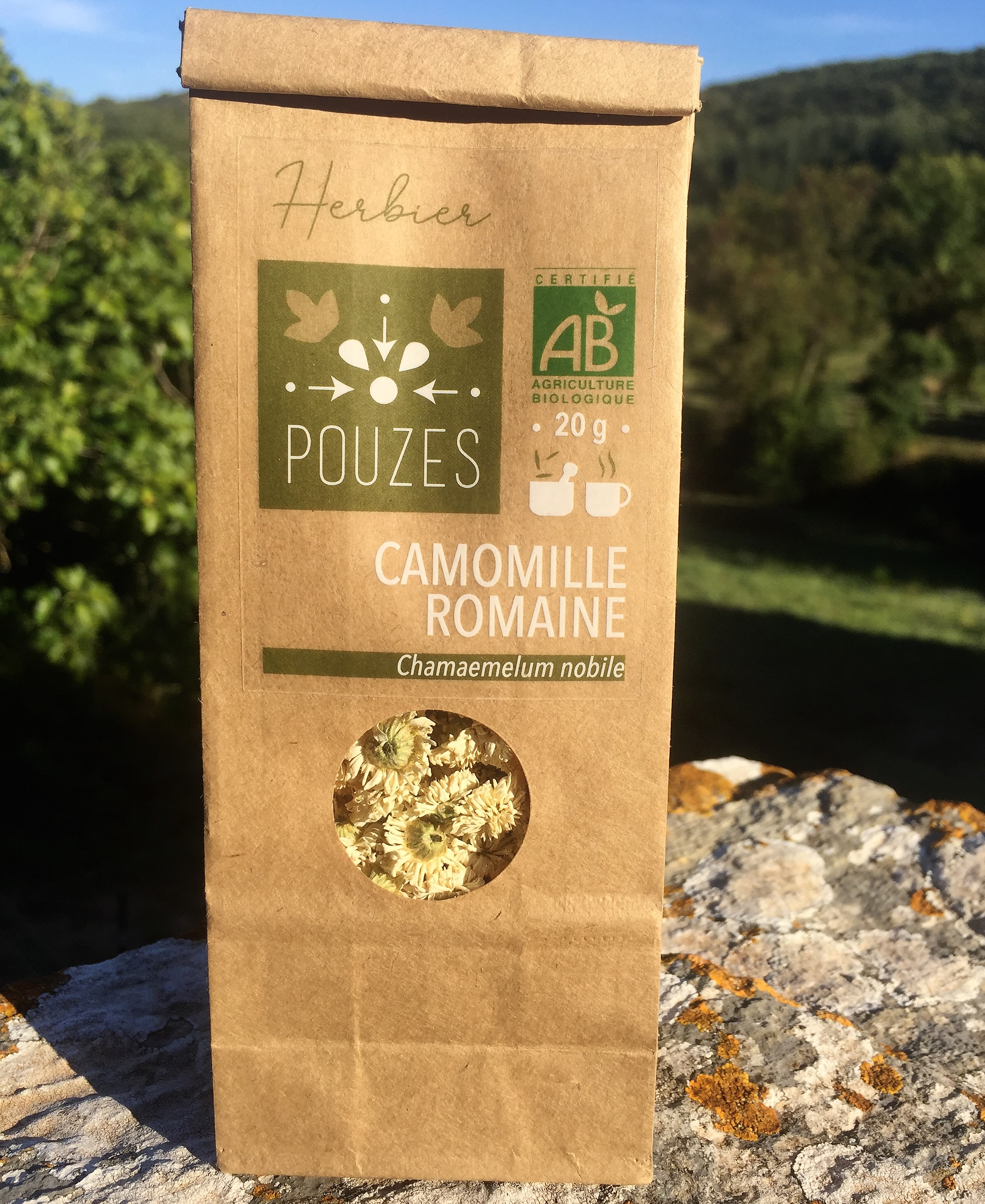 Camomille romaine de l'Herbier de Pouzes