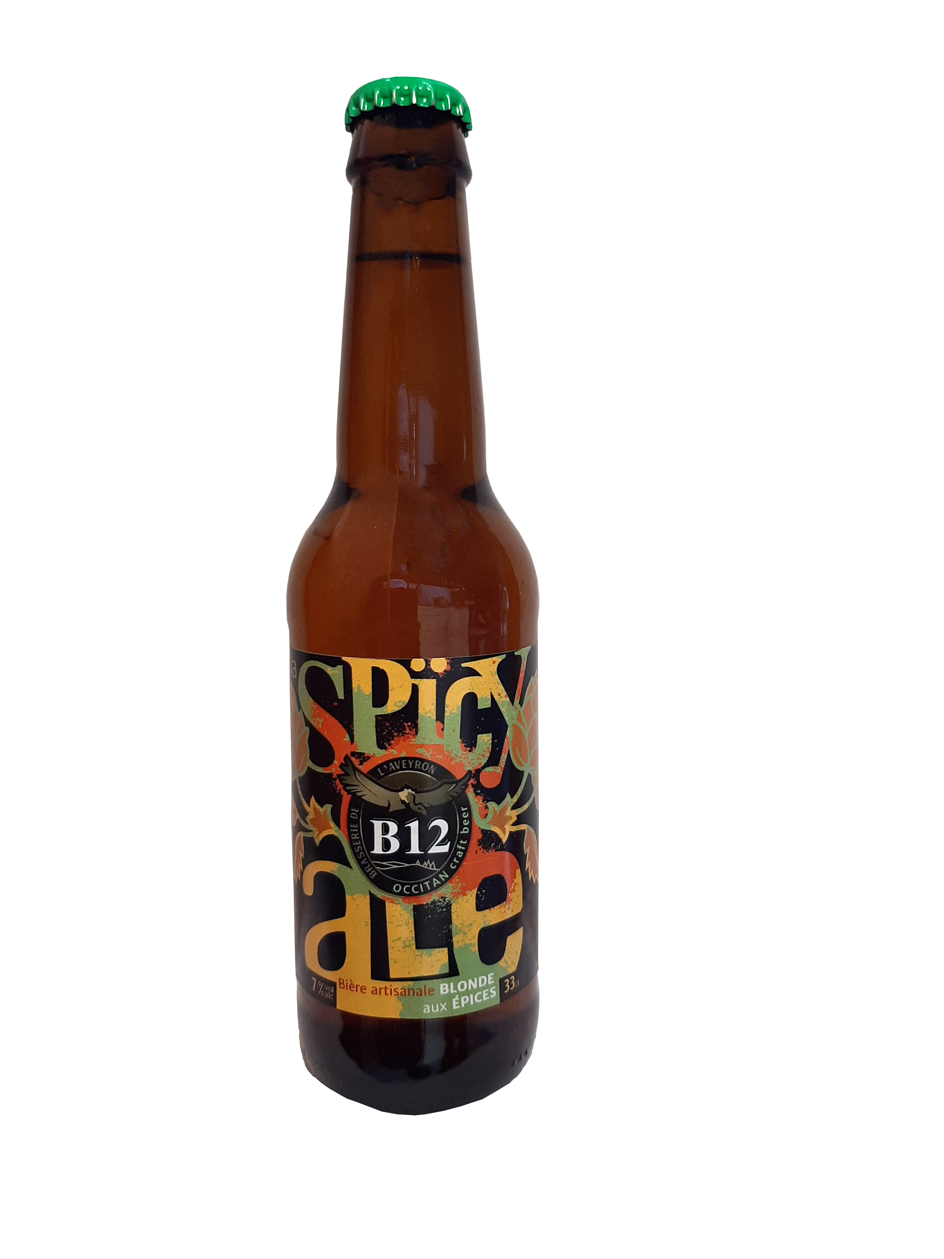 B12 SPICY ALE