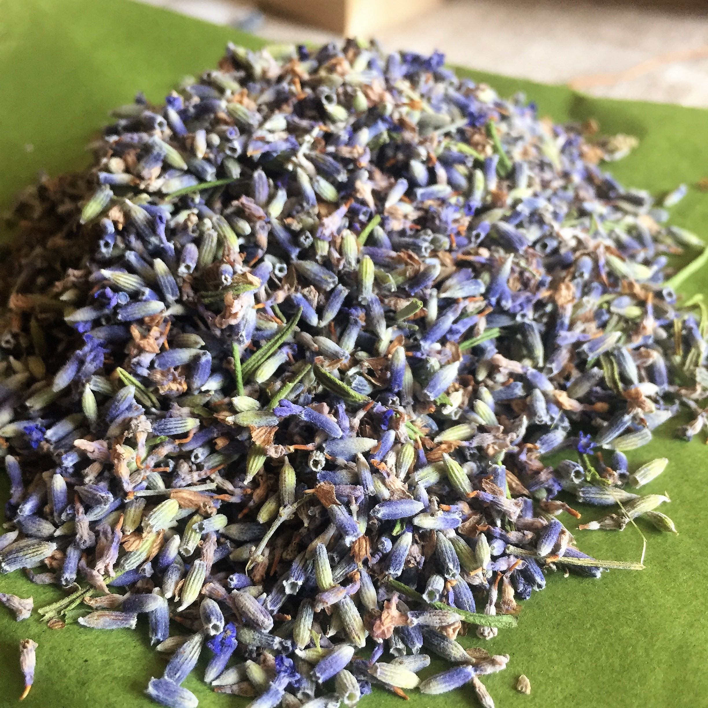 Lavande vraie de l\'Herbier de Pouzes