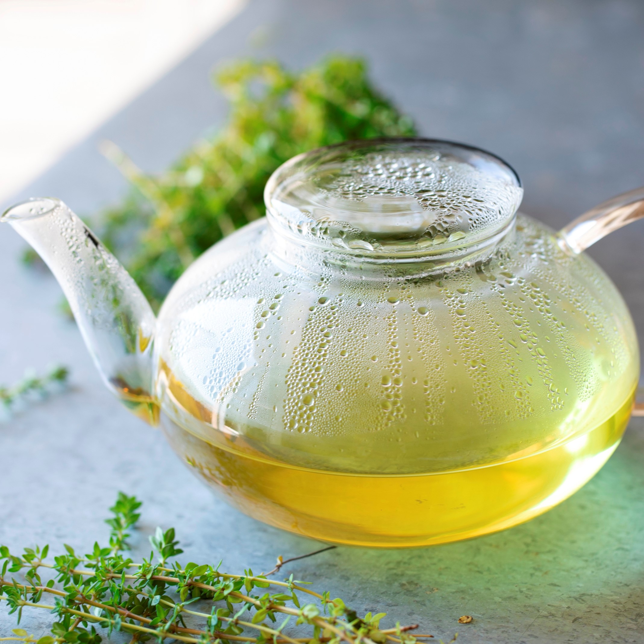 Thym agrume de l\'Herbier de Pouzes