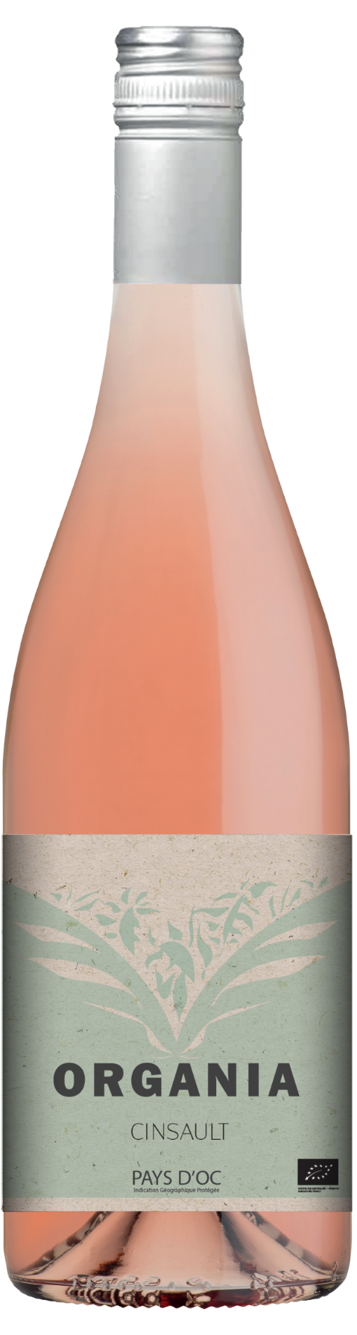 Organia Cinsault