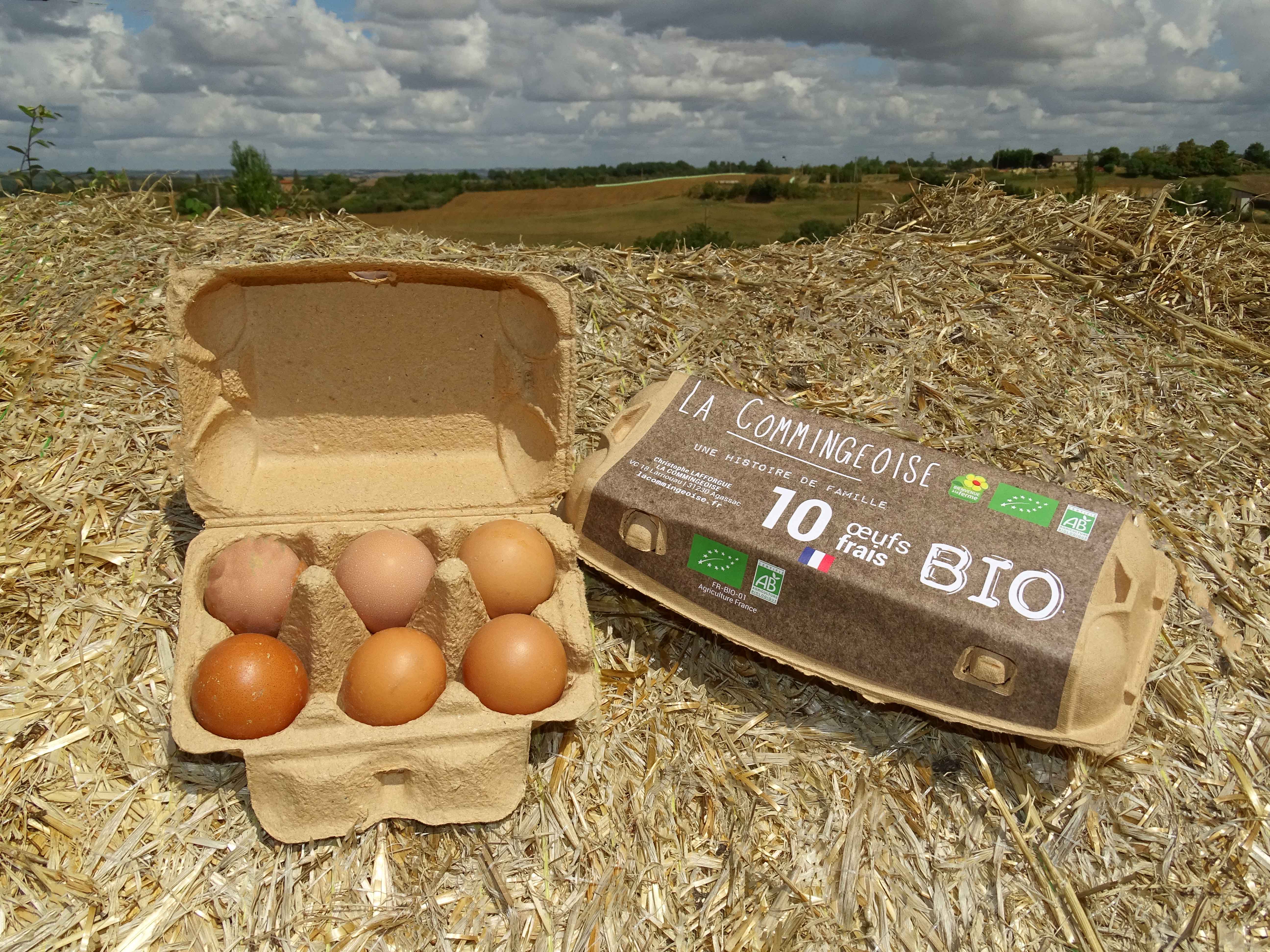 OEUFS EXTRA FRAIS BIO