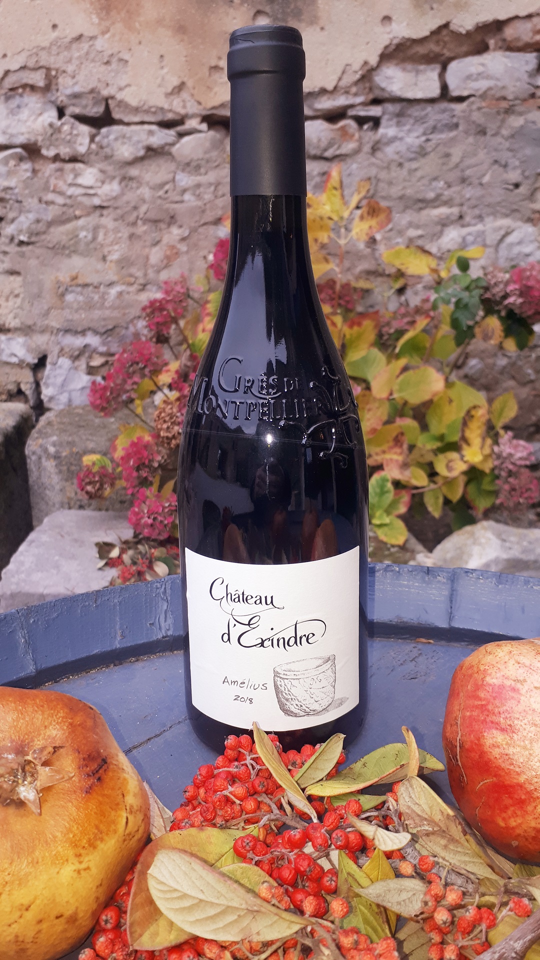 Chateau d'Exindre Amelius