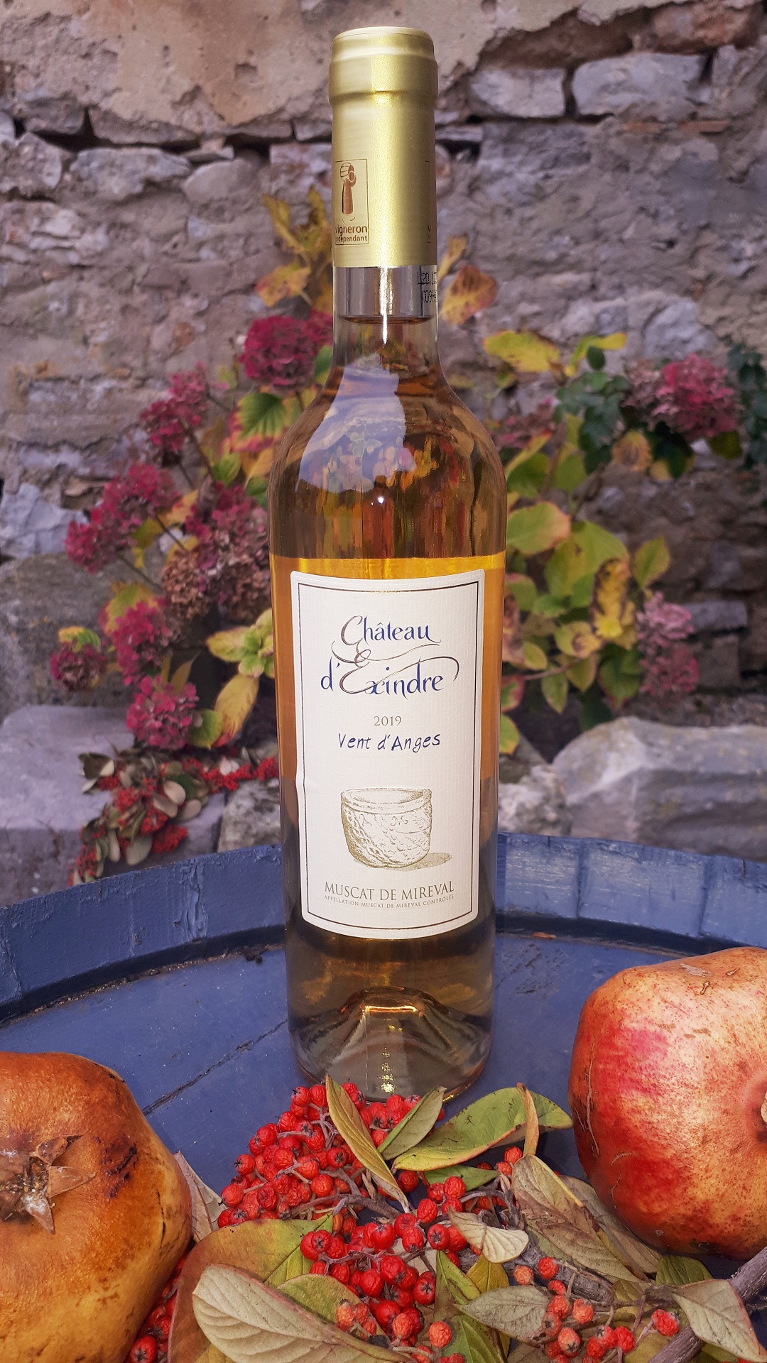Chateau d'Exindre Vent d'Anges