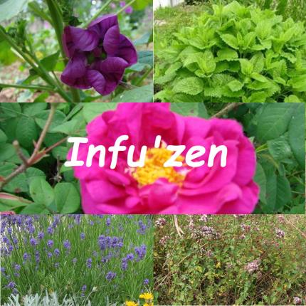 Infu Zen