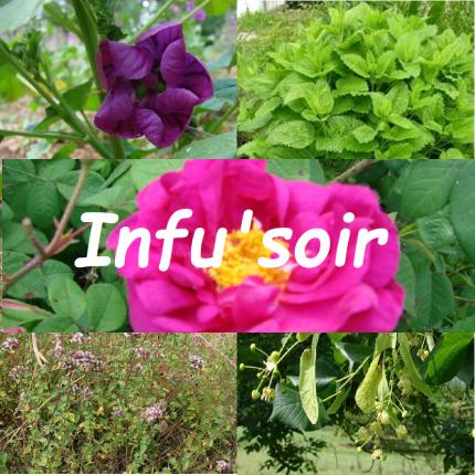 Infu Soir