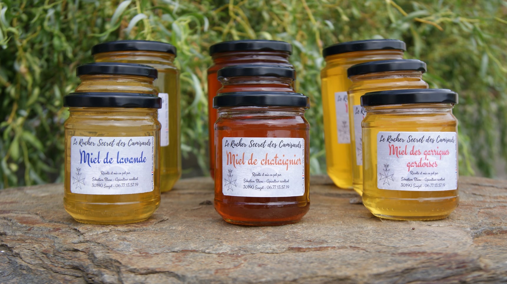 Miel de garrigues