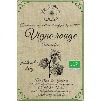 Infusion Vigne rouge