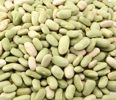 FLAGEOLETS D OCCITANIE BIO AU NATUREL