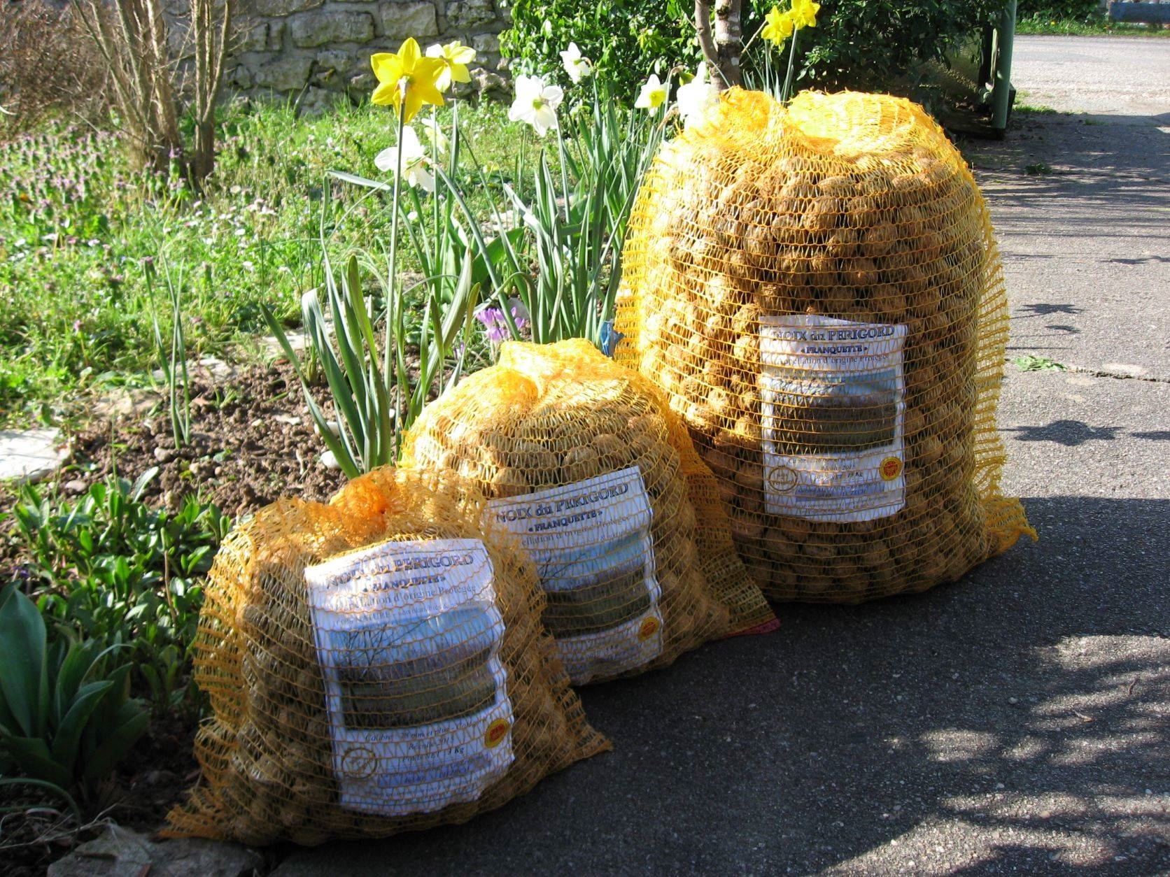 Noix du Perigord