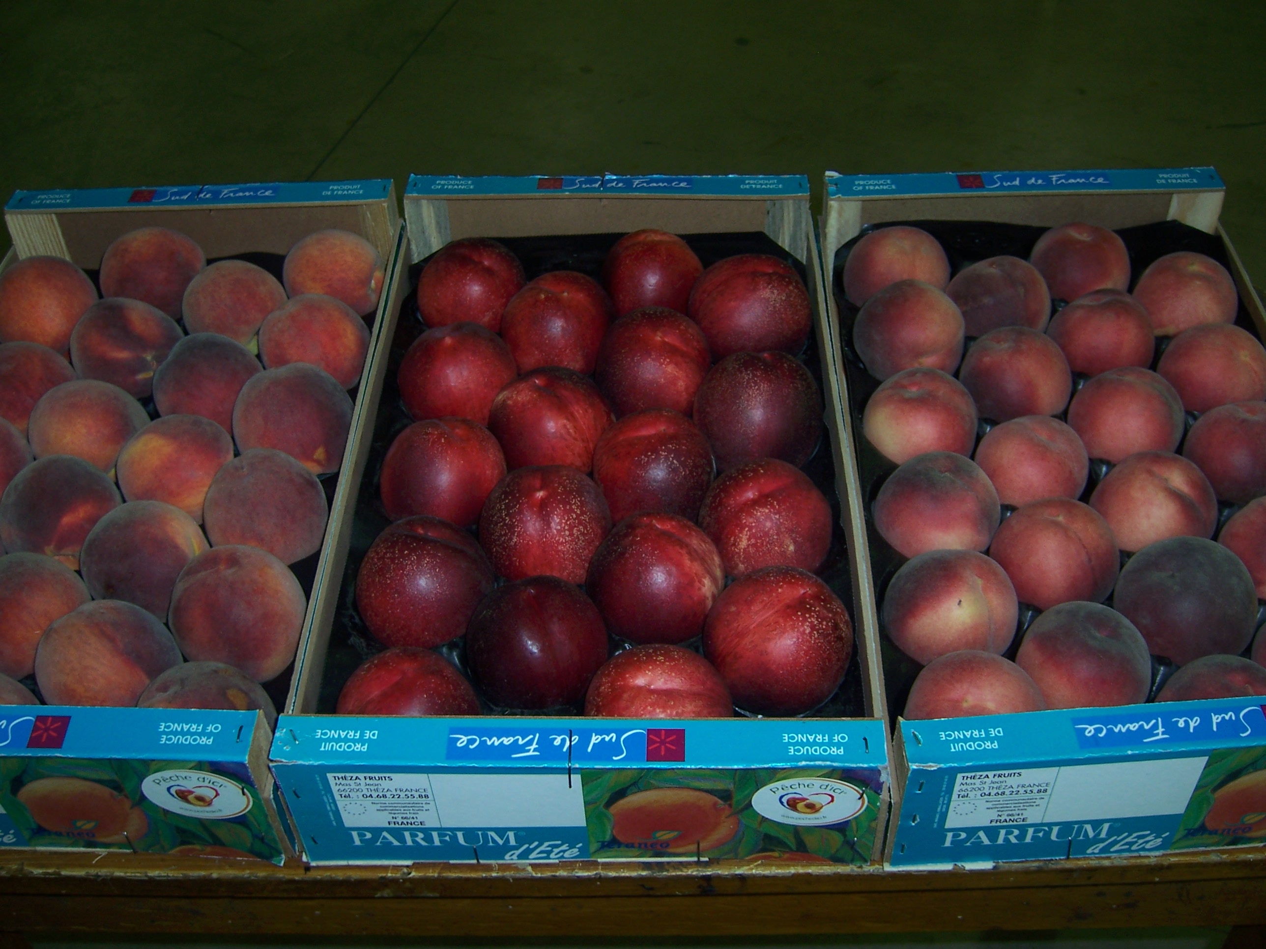 Nectarines