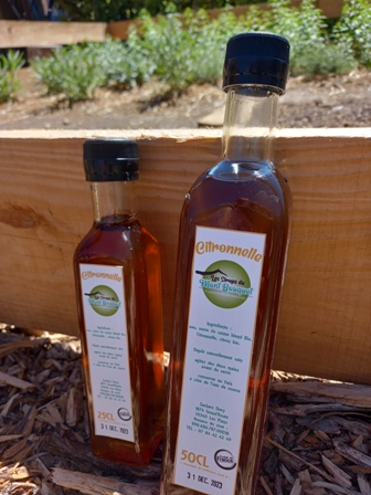 sirop de citronnelle
