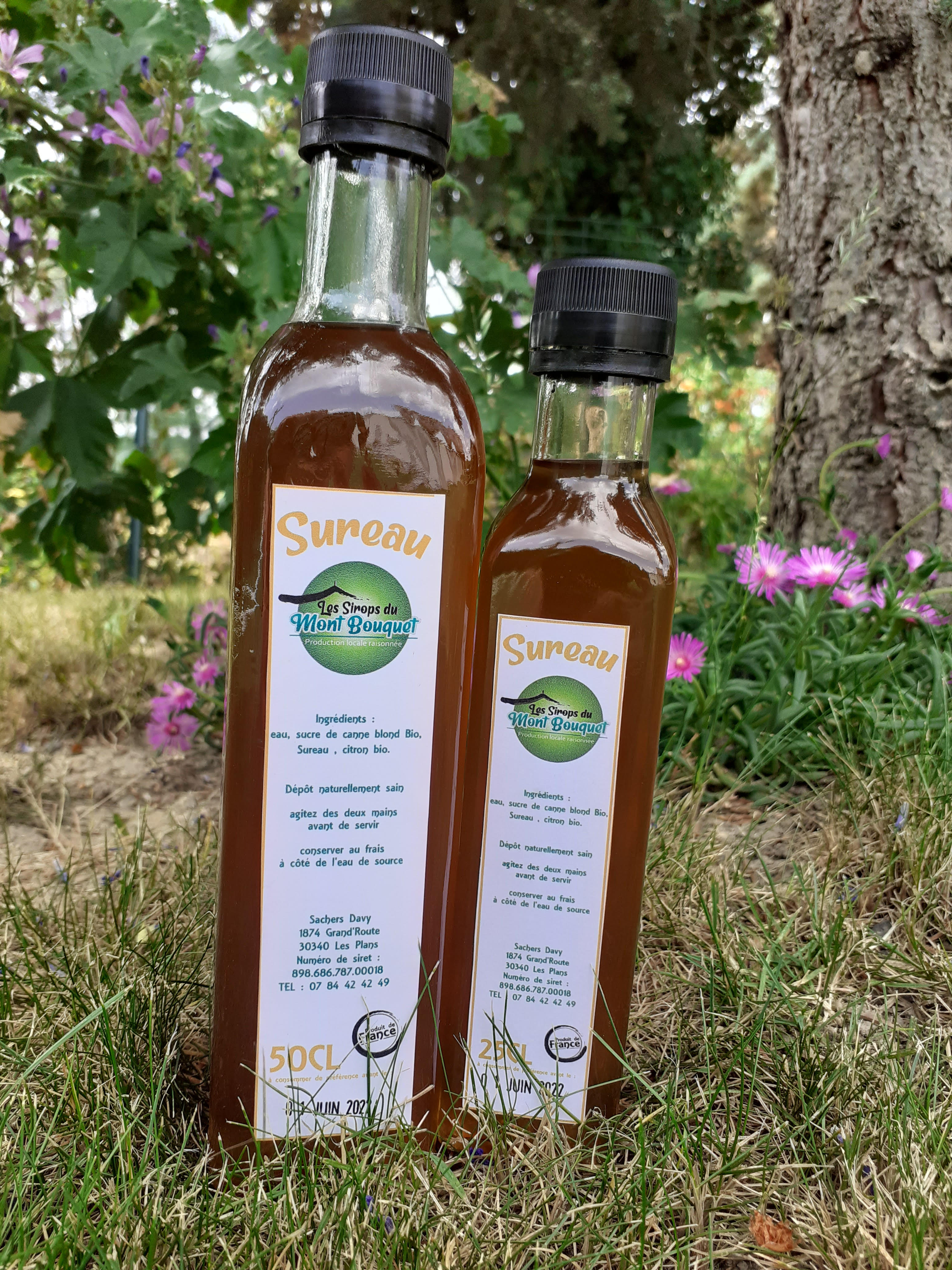 sirop de sureau