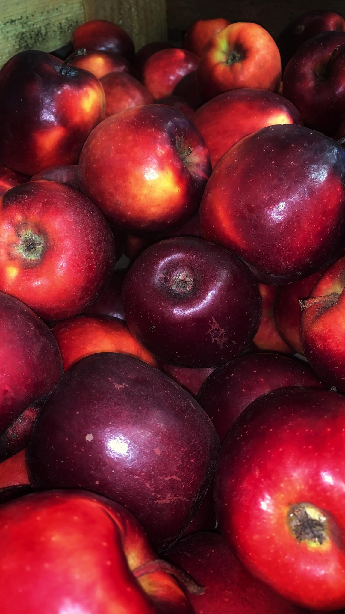 Pomme STORY