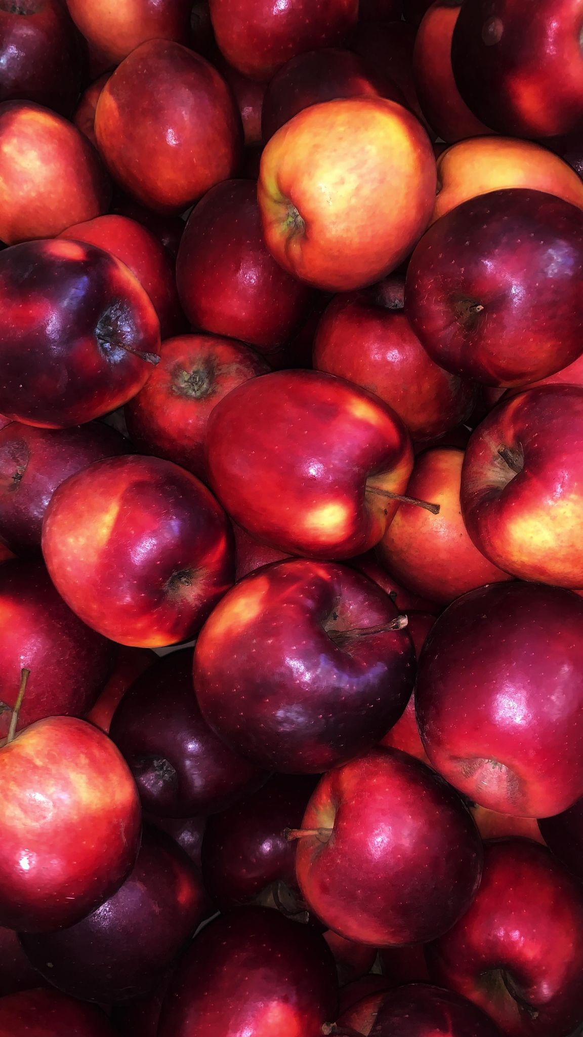 Pomme STORY