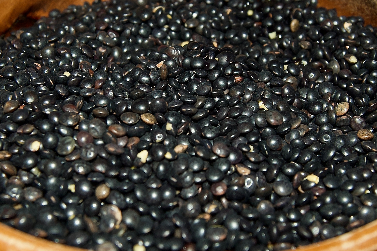 Lentilles belugas trempees, germees, cuites vapeur et surgelees.