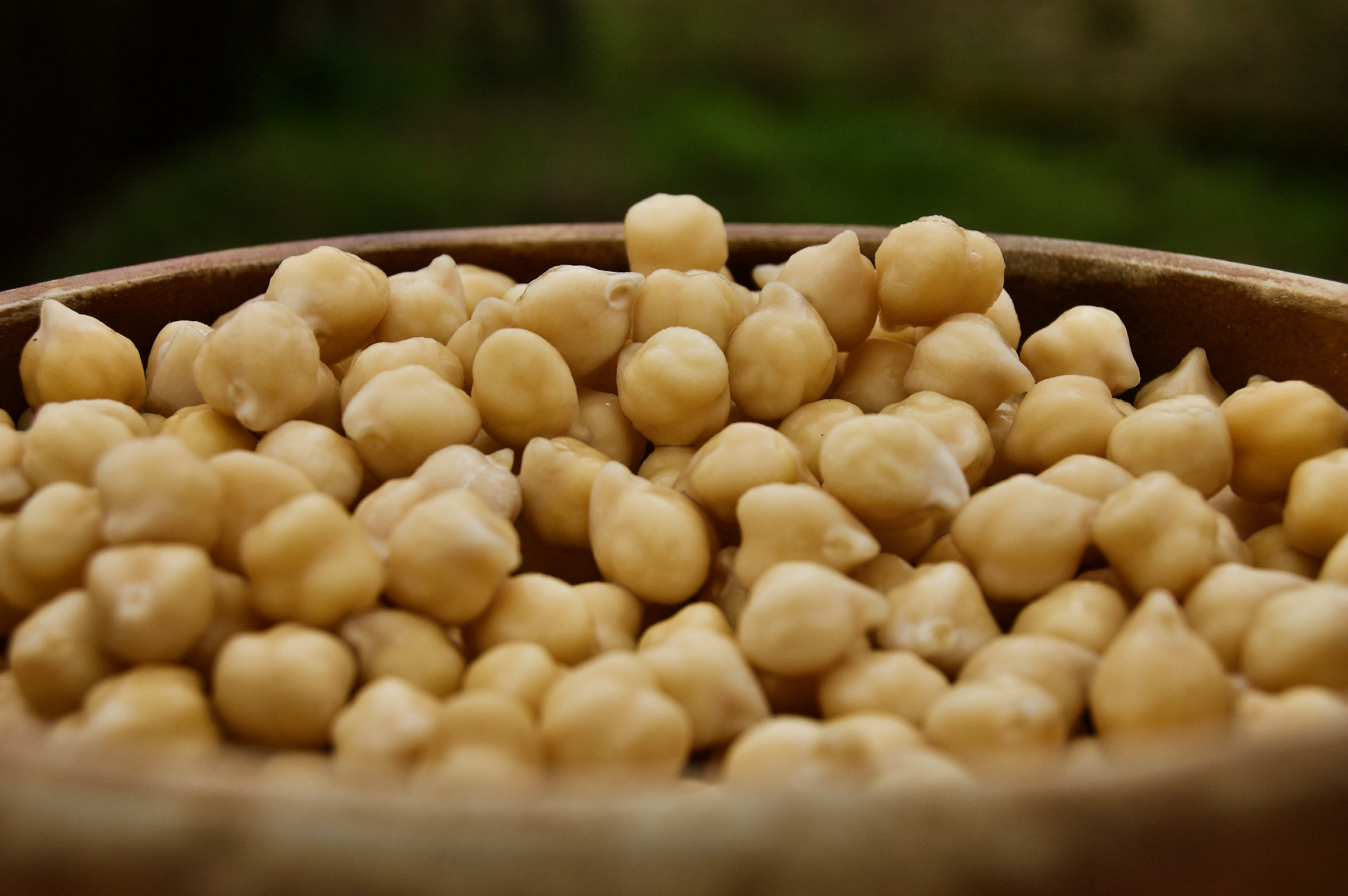 Pois chiches BIO trempes, germes, cuits vapeur et surgeles.