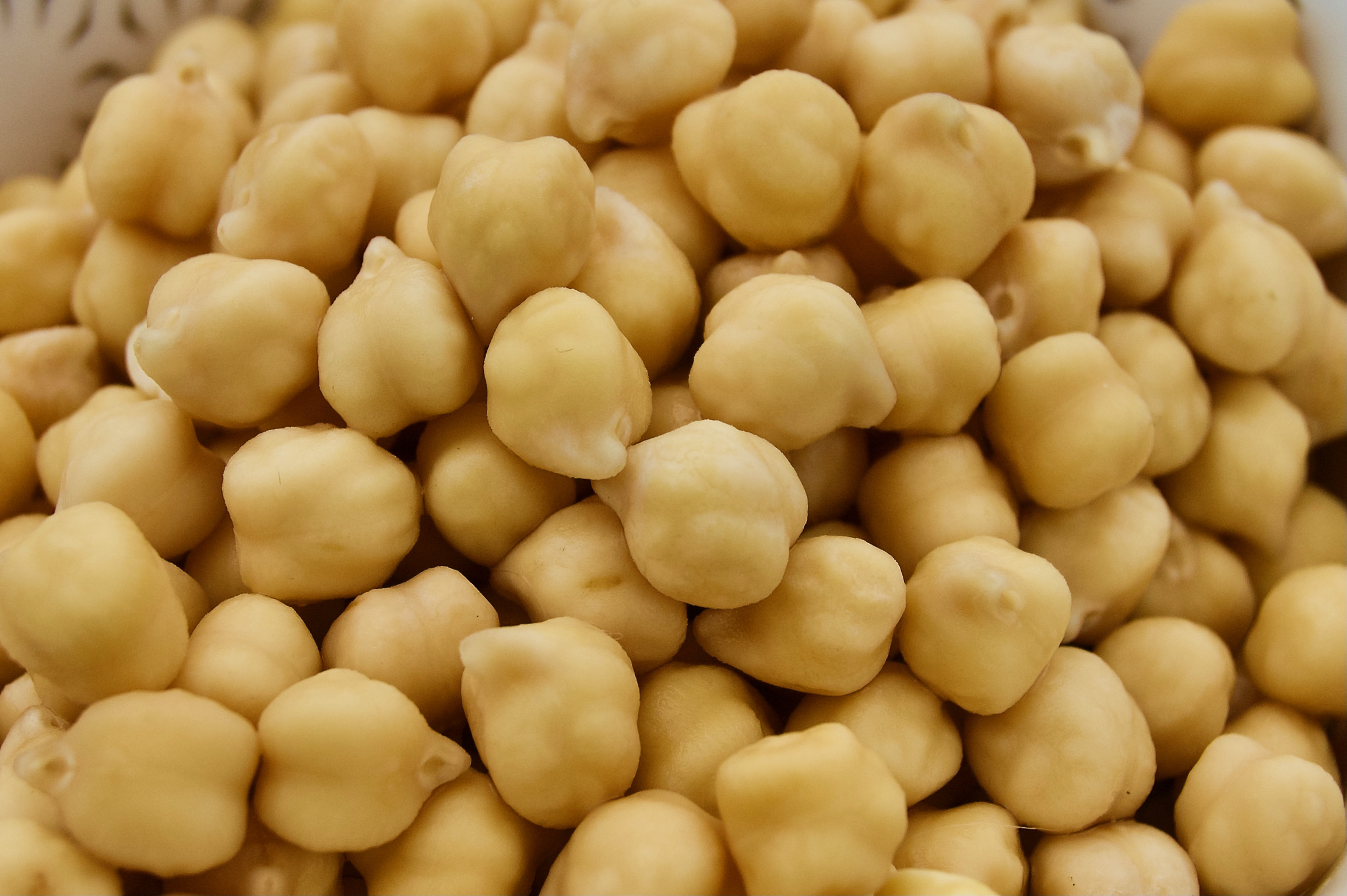 Pois chiches HVE trempes, germes, cuits vapeur et surgeles.