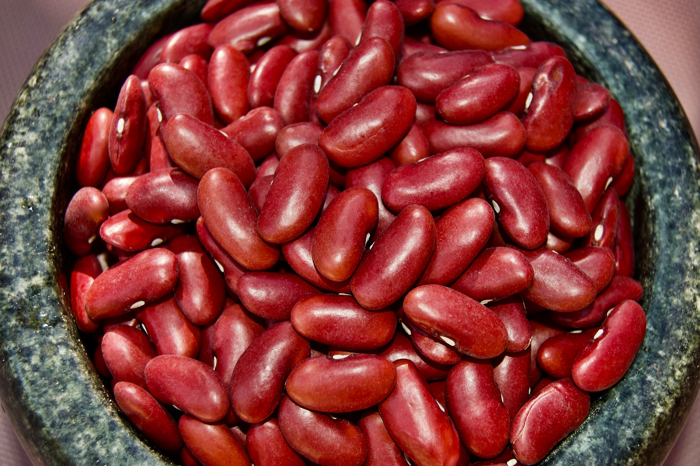 Haricots rouges BIO trempes, germes, cuits vapeur et surgeles.