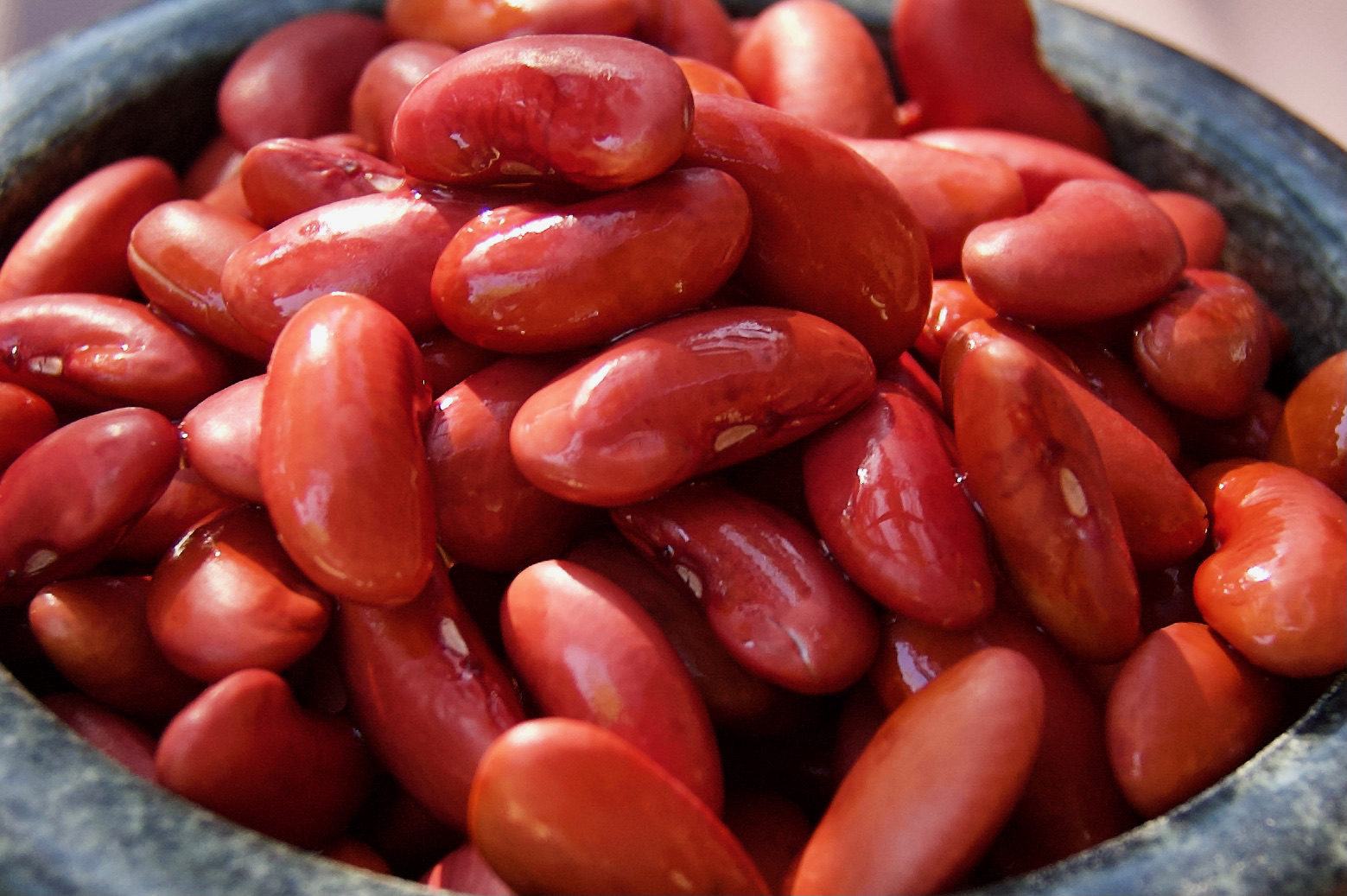 Haricots rouges BIO trempes, germes, cuits vapeur et surgeles.